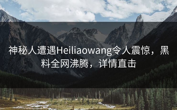 神秘人遭遇Heiliaowang令人震惊，黑料全网沸腾，详情直击  第1张