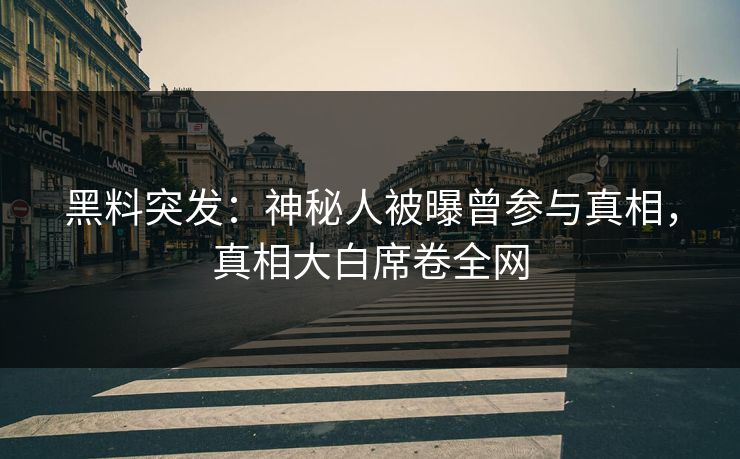 黑料突发:神秘人被曝曾参与真相,真相大白席卷全网 第1张 黑料突发:神秘人被曝曾参与真相,真相大白席卷全网 第1张