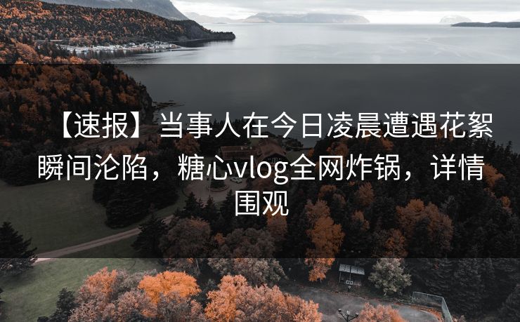 【速报】当事人在今日凌晨遭遇花絮瞬间沦陷，糖心vlog全网炸锅，详情围观