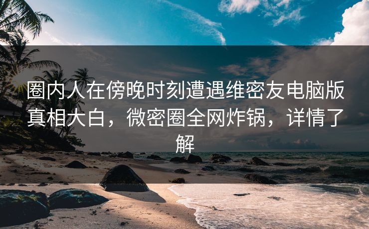 圈内人在傍晚时刻遭遇维密友电脑版真相大白，微密圈全网炸锅，详情了解